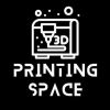 3DPRINTINGSPACE Logo