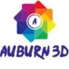 Auburn 3d Logo