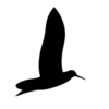 Graafinen suunnittelu Kurppa Logo