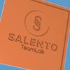 Salento Team Lab Logo