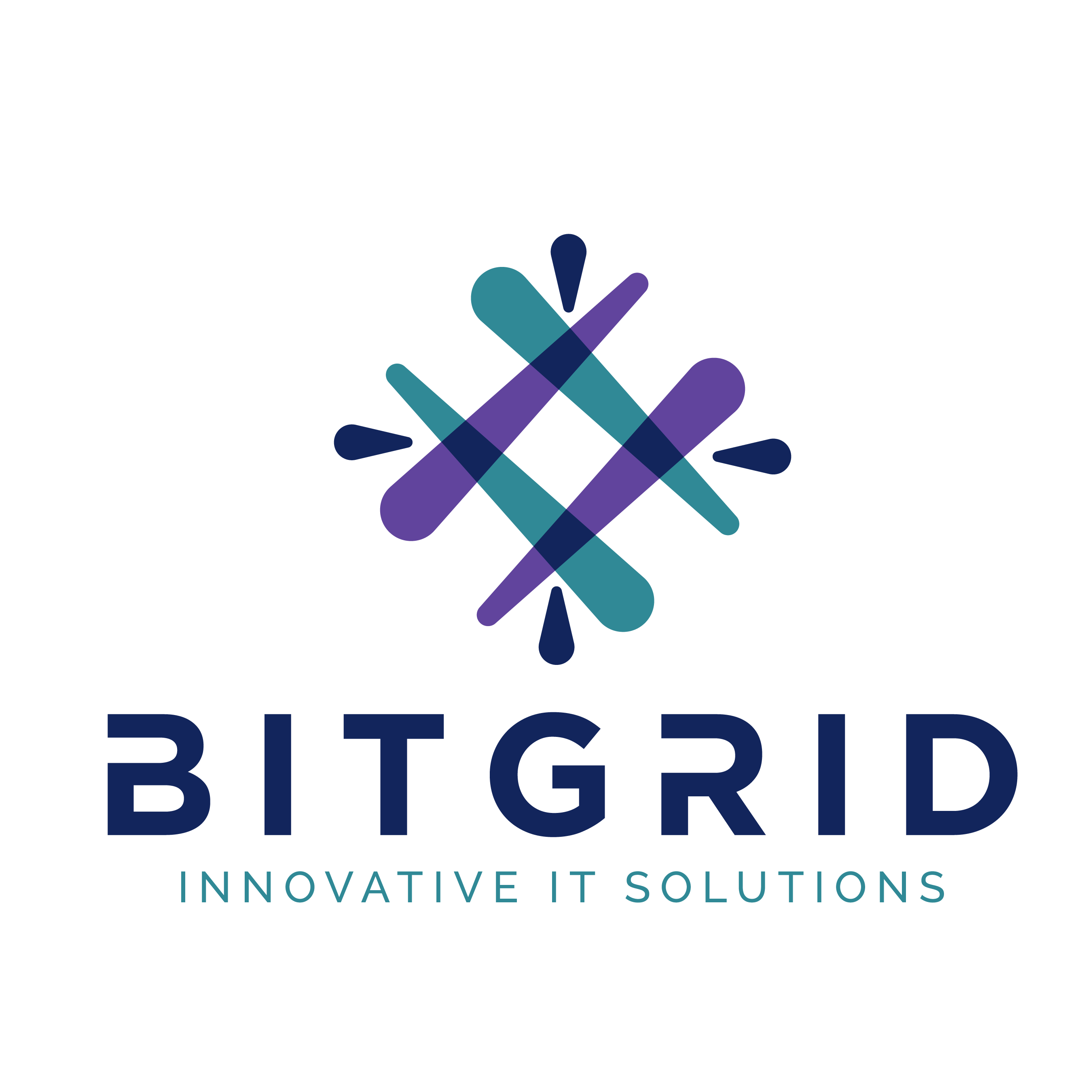 Bitgr.id