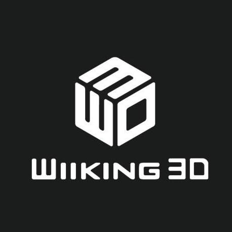 wiiking3d