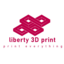 liberty 3D Print
