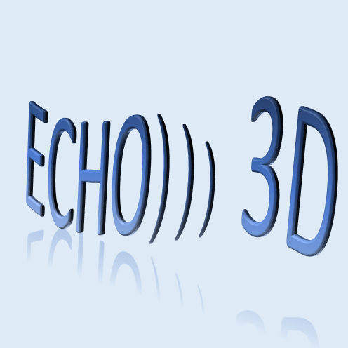 Echo 3D Print Service