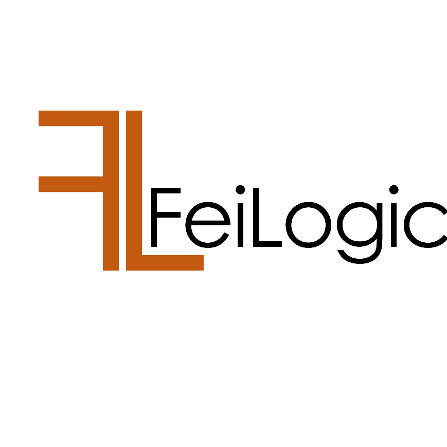 FeiLogic 3D