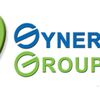 Synergeering Group LLC Logo