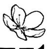 Ashtonville Logo
