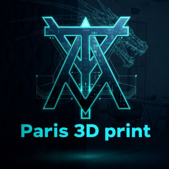 Paris 3D print