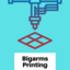 Bigarms Printing
